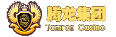 腾龙集团网站欢迎您